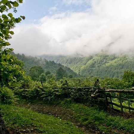 Apto. De Montana La Campa En Felechosa Buitenkant foto