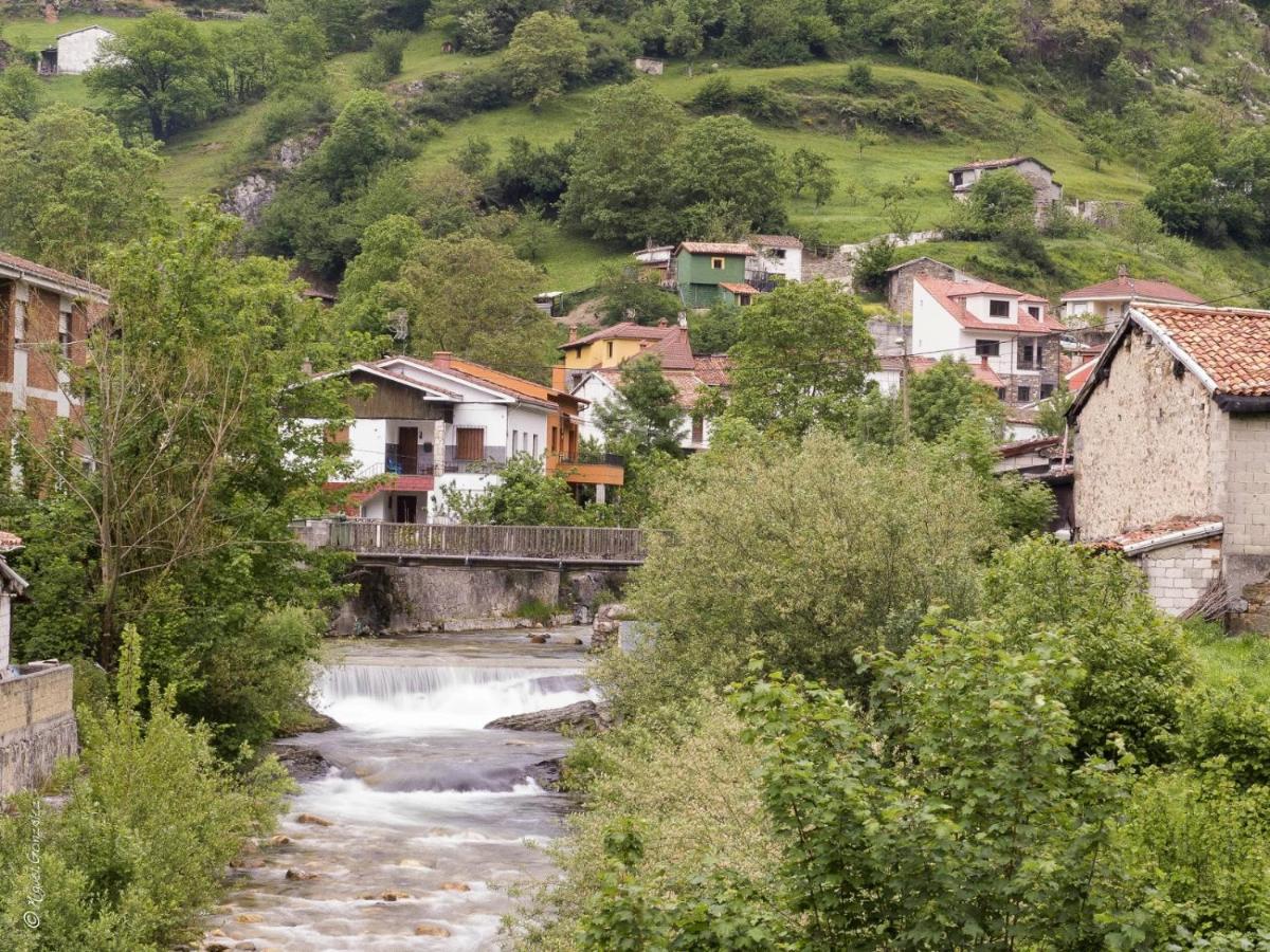 Apto. De Montana La Campa En Felechosa Buitenkant foto